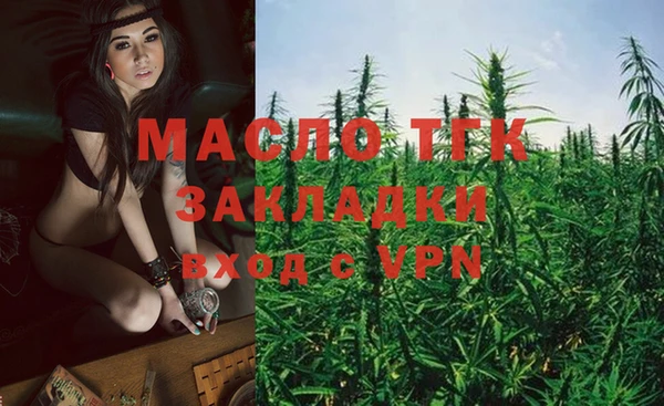 дмт Каменногорск