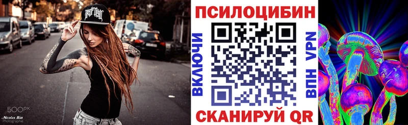 Купить где  Дмитриев  Галлюциногенные грибы Magic Shrooms 